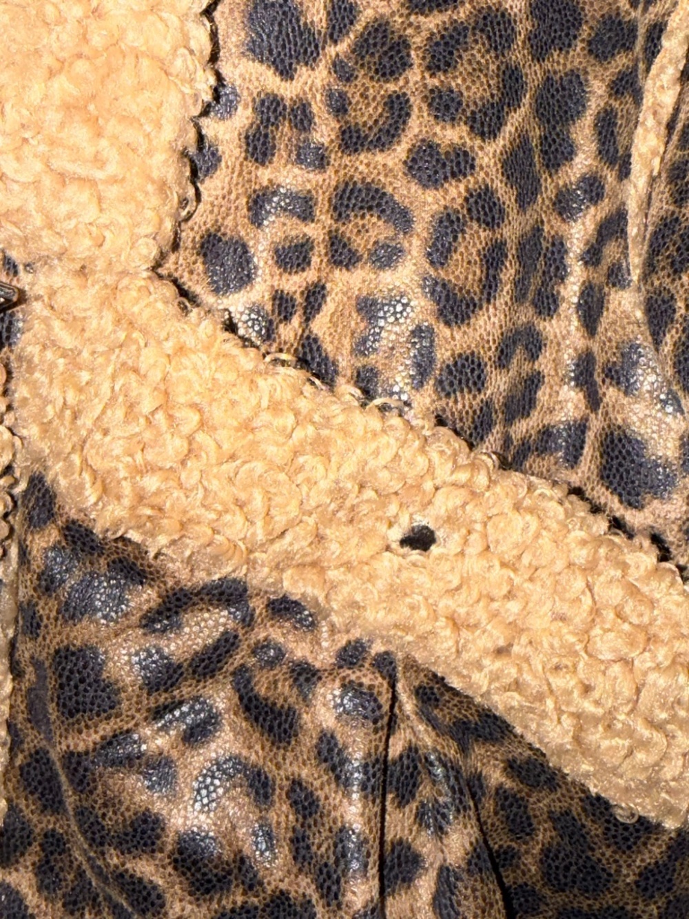 BlankNYC Small S Blank NYC leopard bonded leopard print shearling moto jacket - Picture 7 of 10